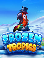 วิธีเล่น สล็อต 22 thคา สิ โน ออนไลน์ ฟรี เงิน 2020